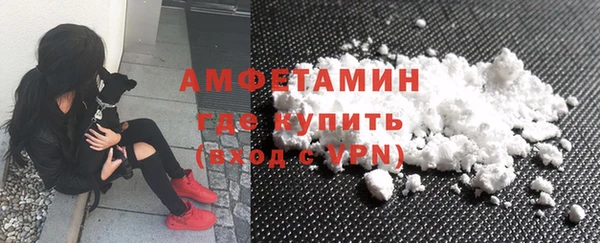 мет Алексин