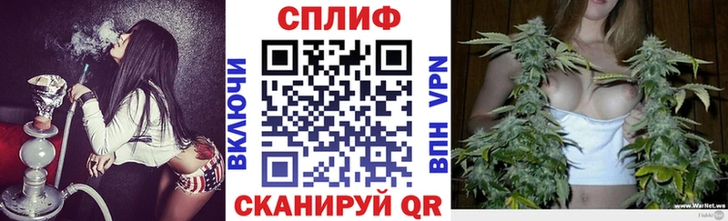 наркотики  Духовщина  Конопля Amnesia 
